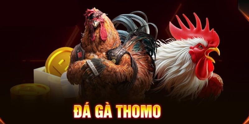 Đá gà Thomo V9Bet: Tỷ lệ thưởng cao, LIVE full HD từ Campuchia 1 Đá gà Thomo V9Bet